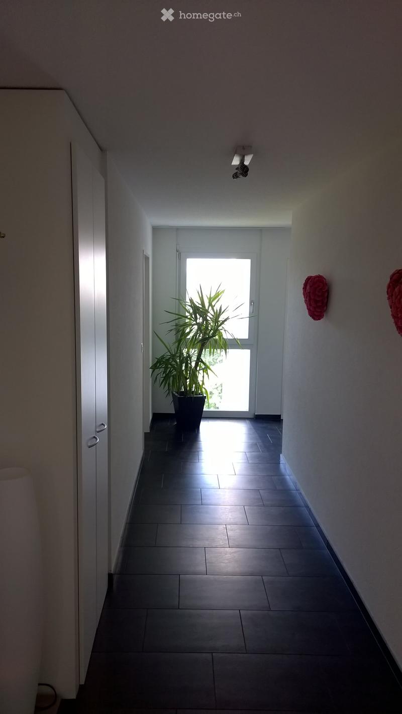 Neuwertige 4.5-Zimmerwohnung im 2. OG, 5705 Hallwil (6)