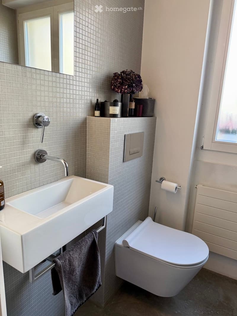 Modern bathroom with a white sink, chrome faucet, toilet, and a small shelf holding decorative items and toiletries.