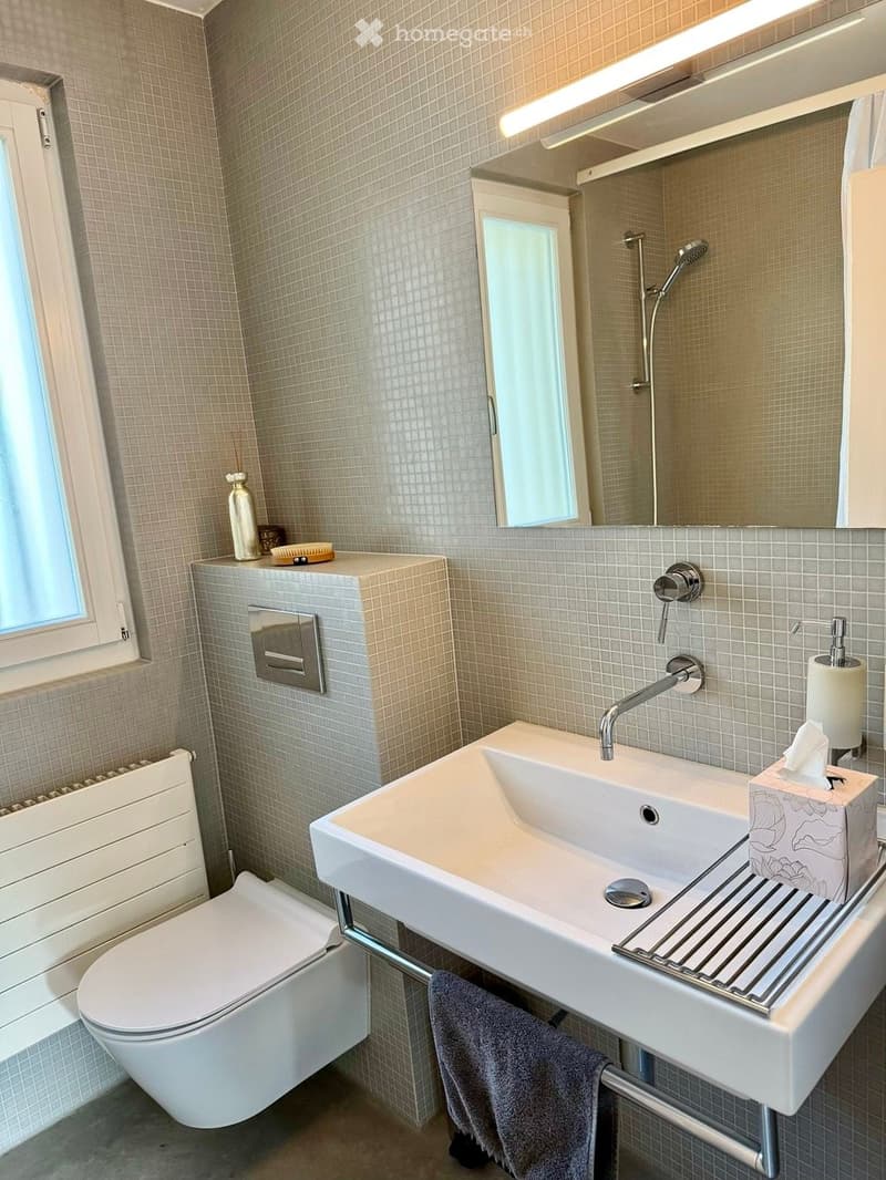 Modern bathroom with a white sink, toilet, showerhead, and a large mirror above the sink. A towel hangs on a rail, and a vase sits on a small shelf near the window.