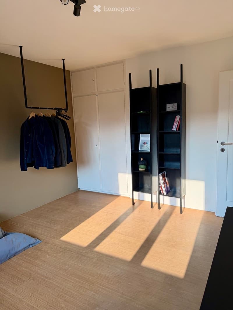 A modern, minimalist room with light wooden flooring, white walls, a built-in wardrobe, a tall black shelving unit with books and decorative items, and a blue pillow on the floor.