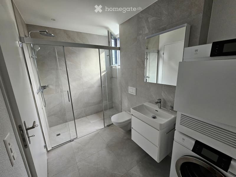 Modern bathroom with a glass-enclosed shower, toilet, sink, mirror, and built-in washing machine.