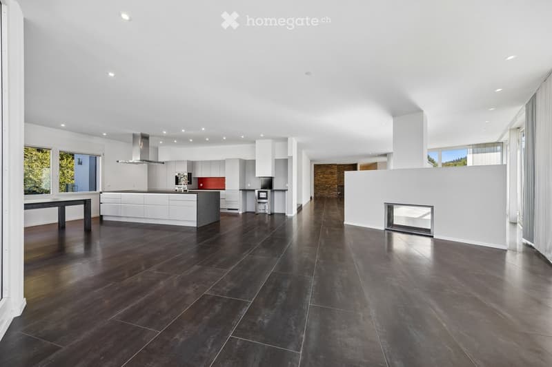 Modern open-concept kitchen and living area with dark hardwood floors, white cabinets, stainless steel appliances, and a built-in fireplace.