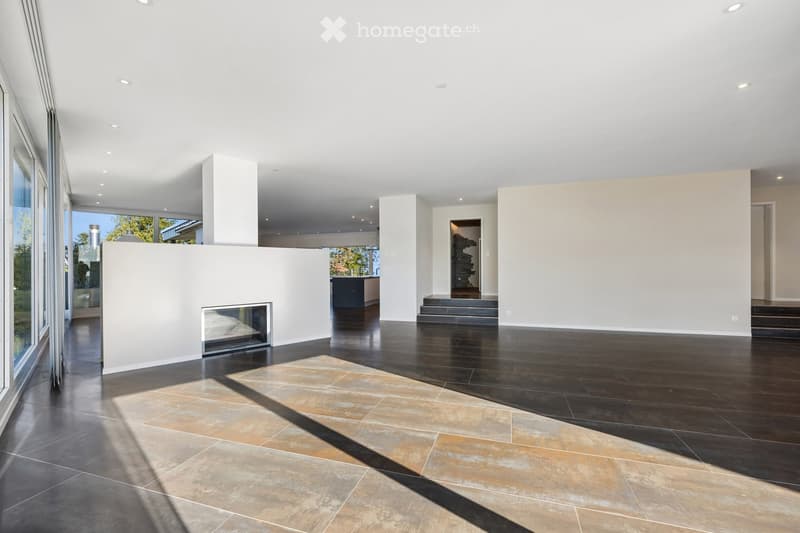 Open-concept living space with high ceilings, dark hardwood floors, and a built-in fireplace. Large windows allow natural light to fill the room, and the space is completely unfurnished.
