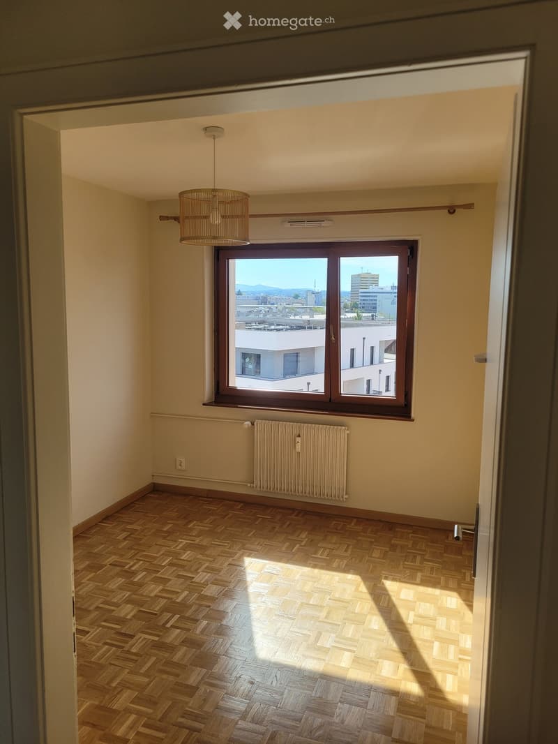 Empty room with wooden herringbone flooring, light-colored walls, a window with a view of the city, a radiator, and a hanging woven pendant light fixture.
