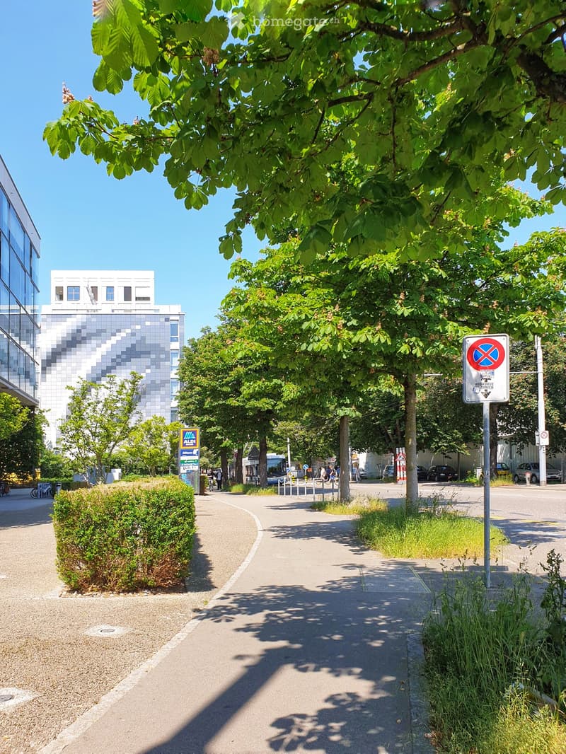 paved pathway, trees, bushes, a building with large glass windows, street signs, traffic signs