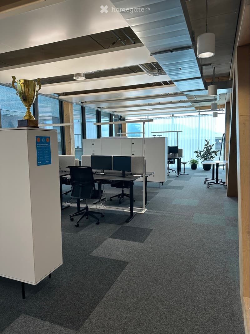 Office space with modern design, multiple desks, ergonomic chairs, glass partition walls, trophy, potted plants, ceiling lamps, and carpeted floor