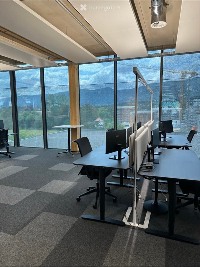 Desks, chairs, computer monitors, large windows