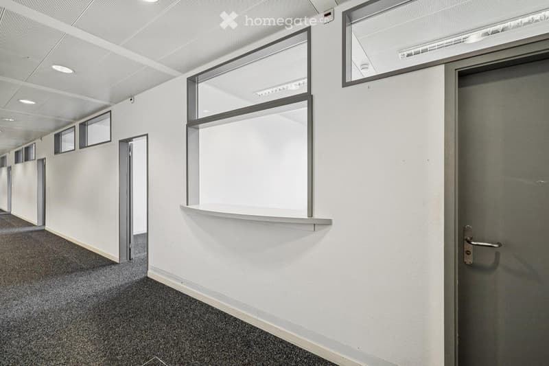 Clean, modern hallway with white walls, grey carpeted floor, and multiple doors and windows along the sides.