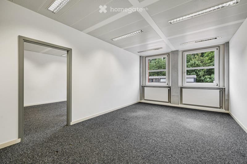 Empty room with white walls, grey carpet, and large windows showing greenery outside. No furniture or equipment present.