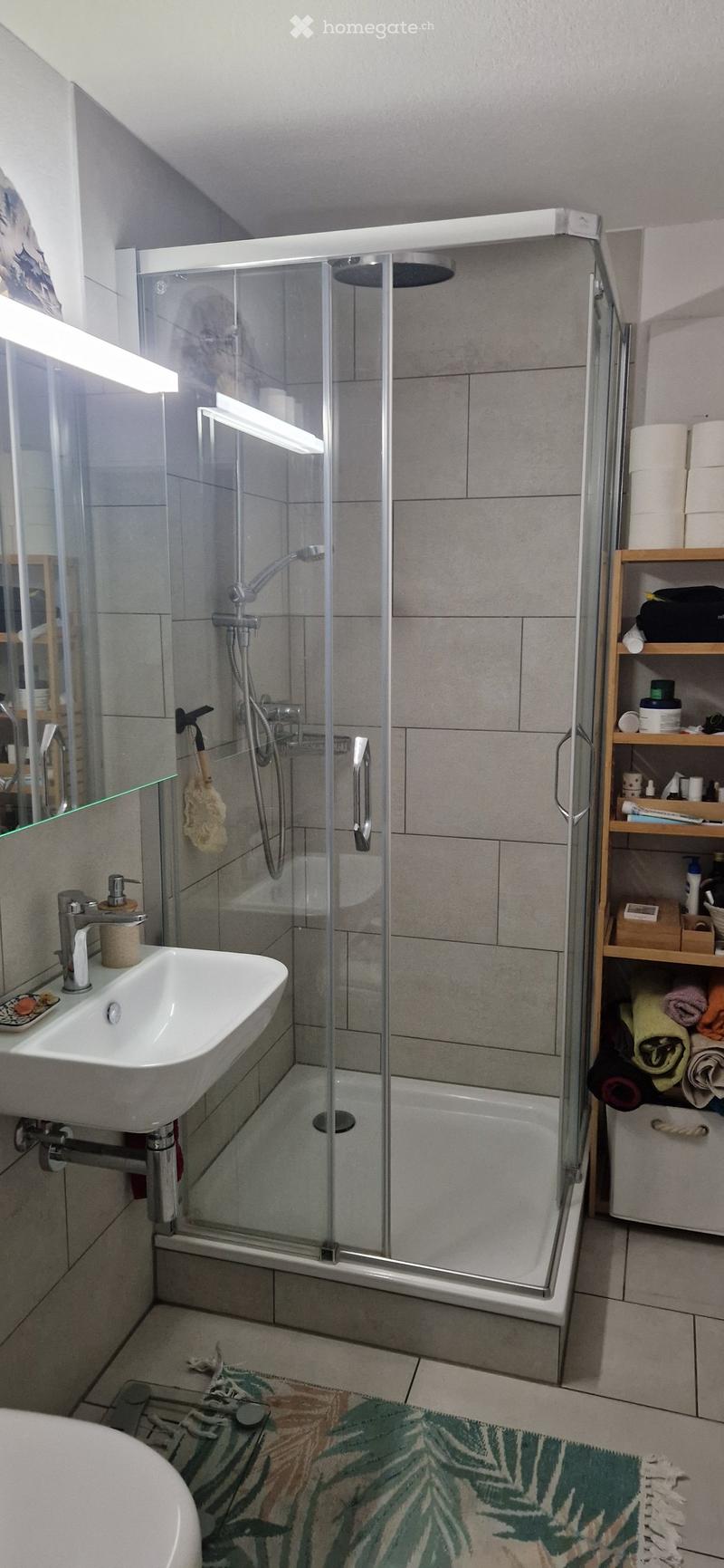 Modern bathroom with a glass-enclosed shower, a white sink with a modern faucet, a wooden shelf holding towels and toiletries, and a decorative rug on the floor.
