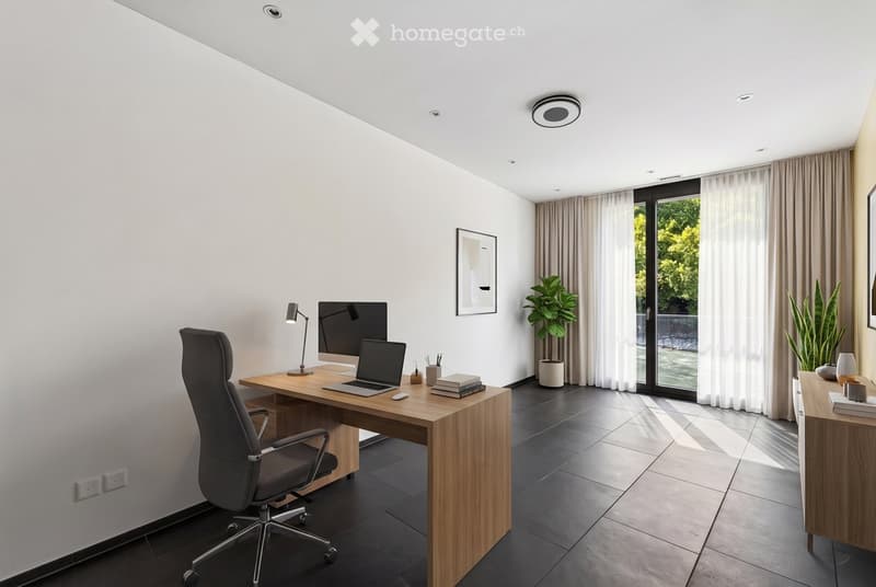 Modern, well-lit office space with a wooden desk, ergonomic chair, laptop, monitor, and decorative plants near large windows.