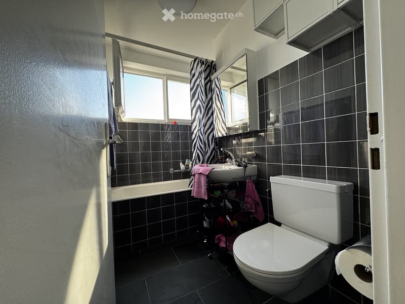 Modern bathroom with dark tiled walls and floor, featuring a bathtub, toilet, sink, and mirror. A zebra-patterned shower curtain is visible, along with towels and a small shelf holding toiletries.