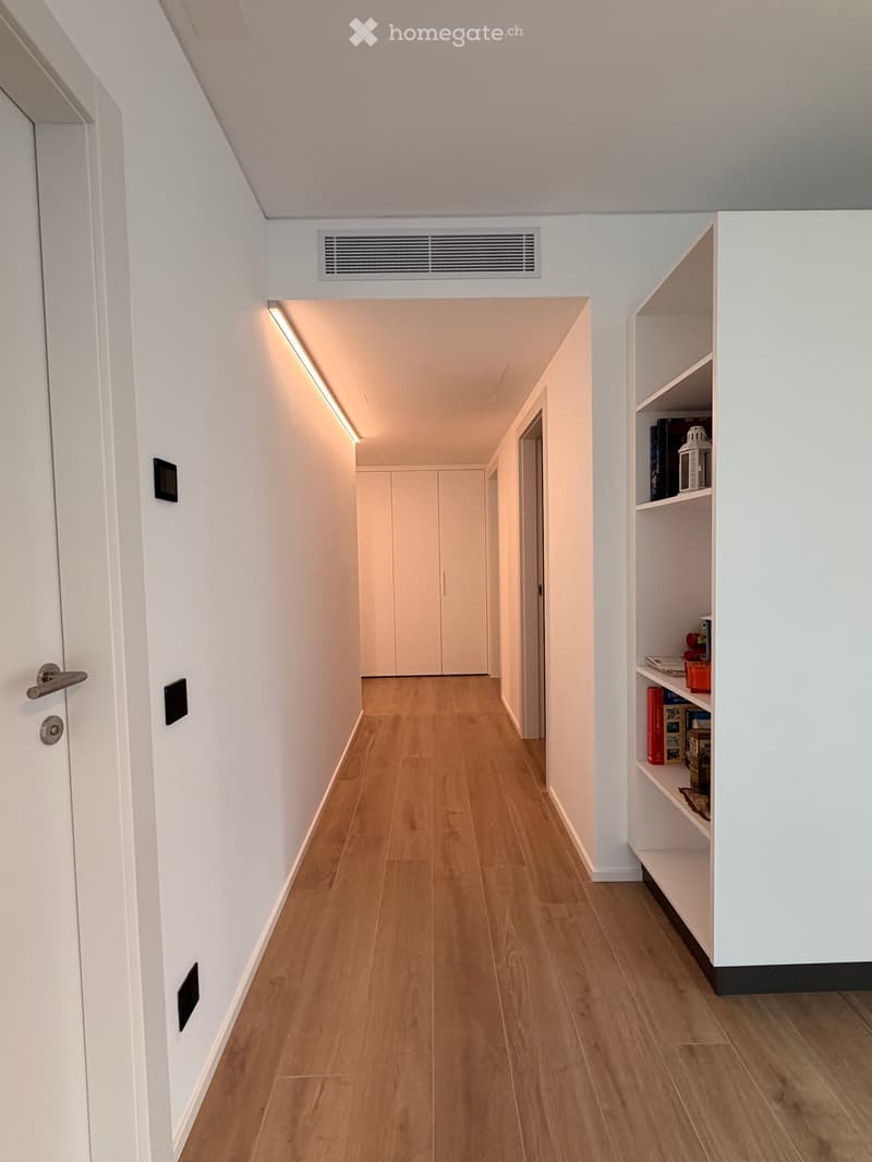 A modern hallway with wooden flooring, white walls, built-in shelving on one side, and recessed lighting. The hallway features a closed door at the end and a built-in cabinet.