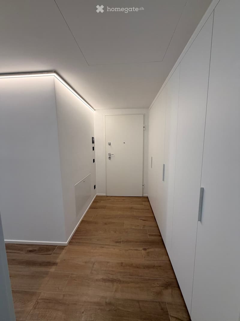Modern hallway with wooden flooring, white walls, and built-in lighting along the ceiling. Features a closed door at the end and recessed wall panels.