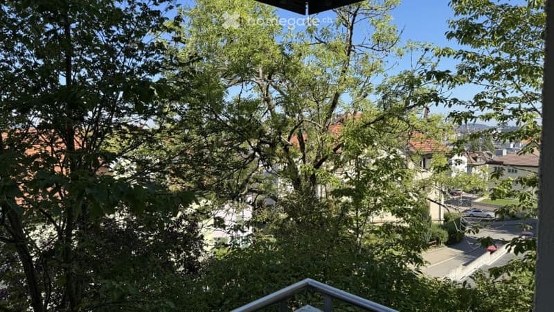 Balcony overlooking a leafy neighborhood with trees, houses, and a clear blue sky.