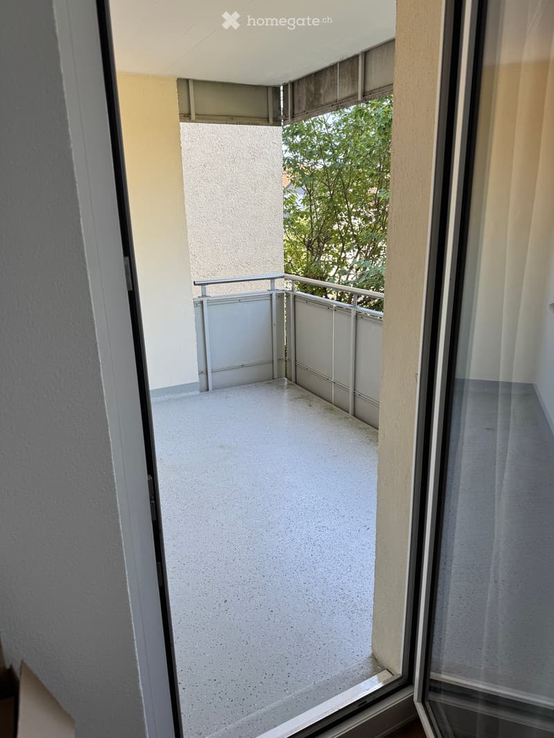 Balcony with concrete floor, metal railing, and view of greenery outside.