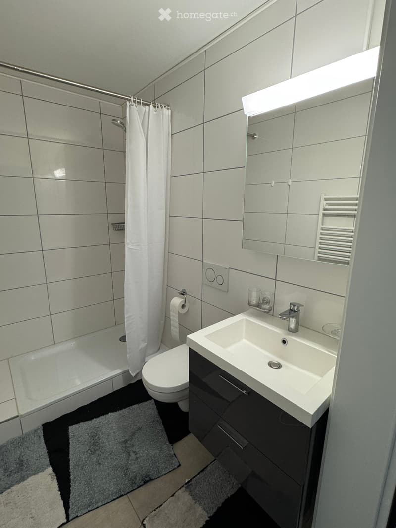 Modern bathroom with white tiles, a sink with a mirror, a toilet, a bathtub with a shower curtain, and a radiator. The floor has a black and white rug.