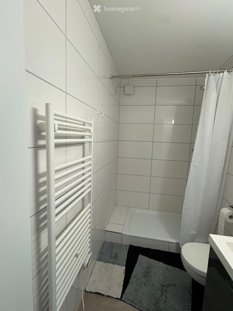 Modern bathroom with white tiles, a shower, toilet, sink, radiator, and a shower curtain.