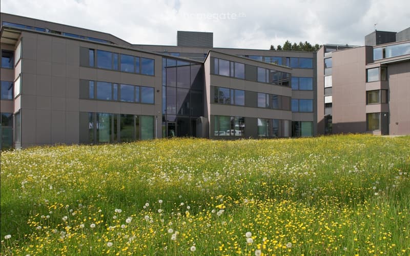 Modern multi-story building with large windows and a flat roof, surrounded by a field of yellow and white wildflowers.