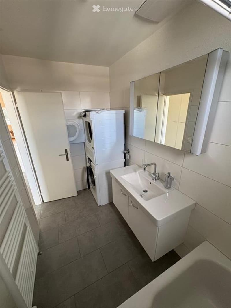 Modern bathroom with a white sink, mirror, and cabinet. A washing machine is visible in an adjacent space.