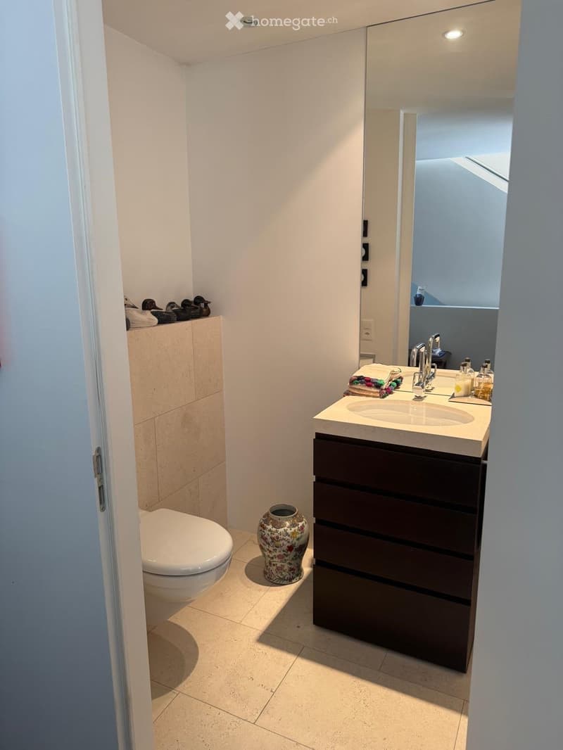 Modern bathroom with a white toilet, a dark wooden vanity with a sink, a large mirror, and a decorative vase on the floor.
