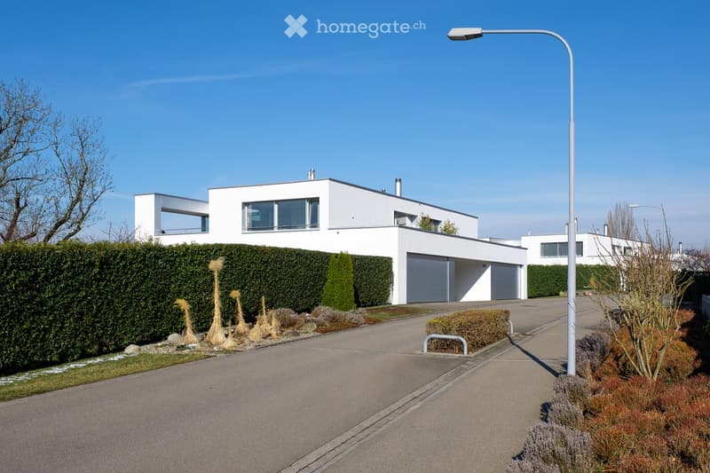 Modern two-story white house with large windows, garage, and landscaped front yard with hedges and decorative plants.