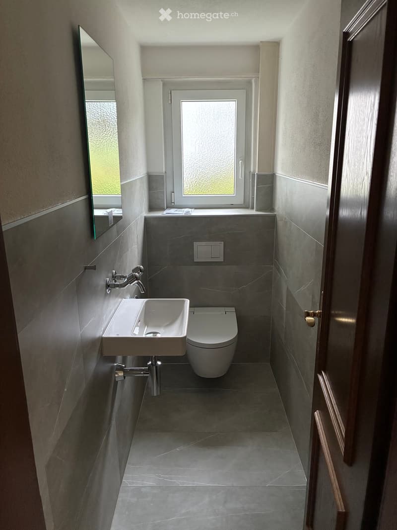 Modern bathroom with grey tiles, white sink, chrome faucet, and toilet. Features a frosted window and a mirrored cabinet.