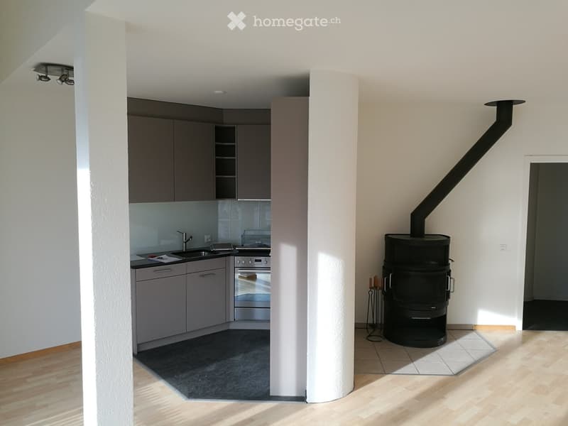 Modern kitchen area with grey cabinets, stainless steel appliances, and a wood stove in the adjacent space.