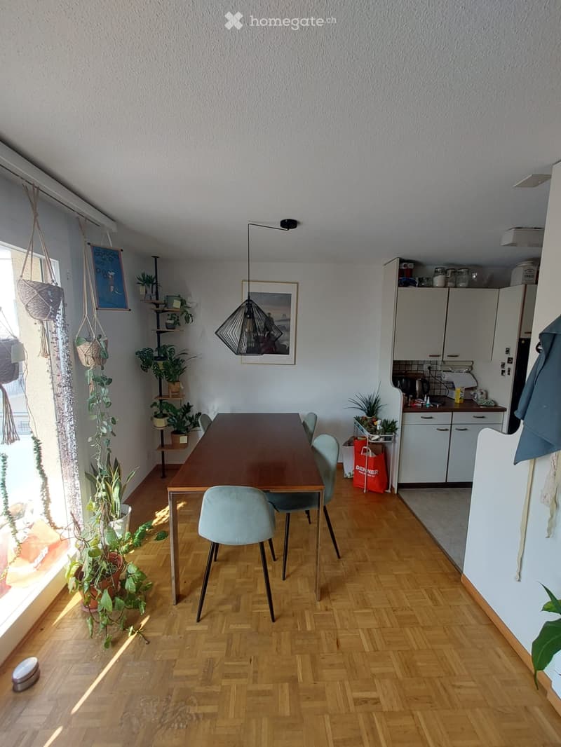 dining room with wooden table, chairs, plants, kitchen with white cabinets, countertop, sink, and appliances