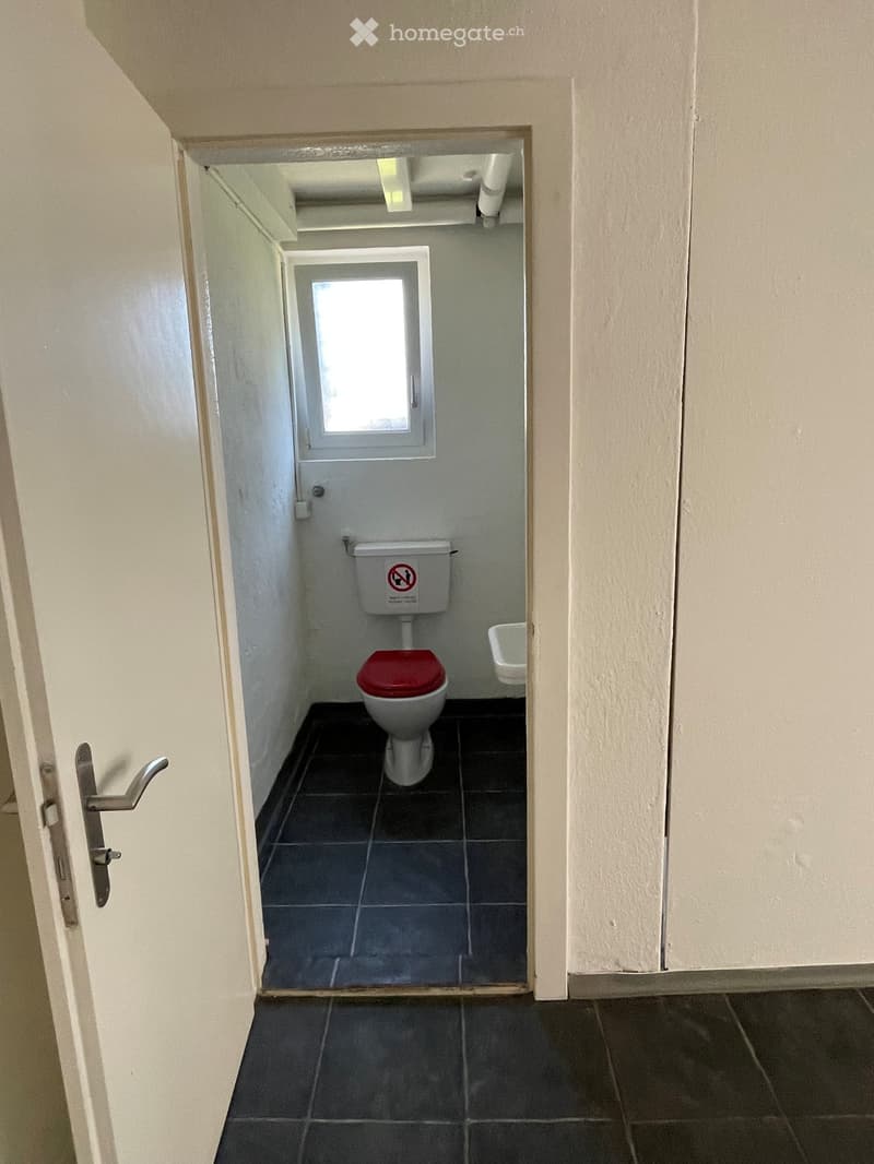 Small bathroom with a toilet, red seat, and a small sink. The room has dark tiled flooring and white walls.