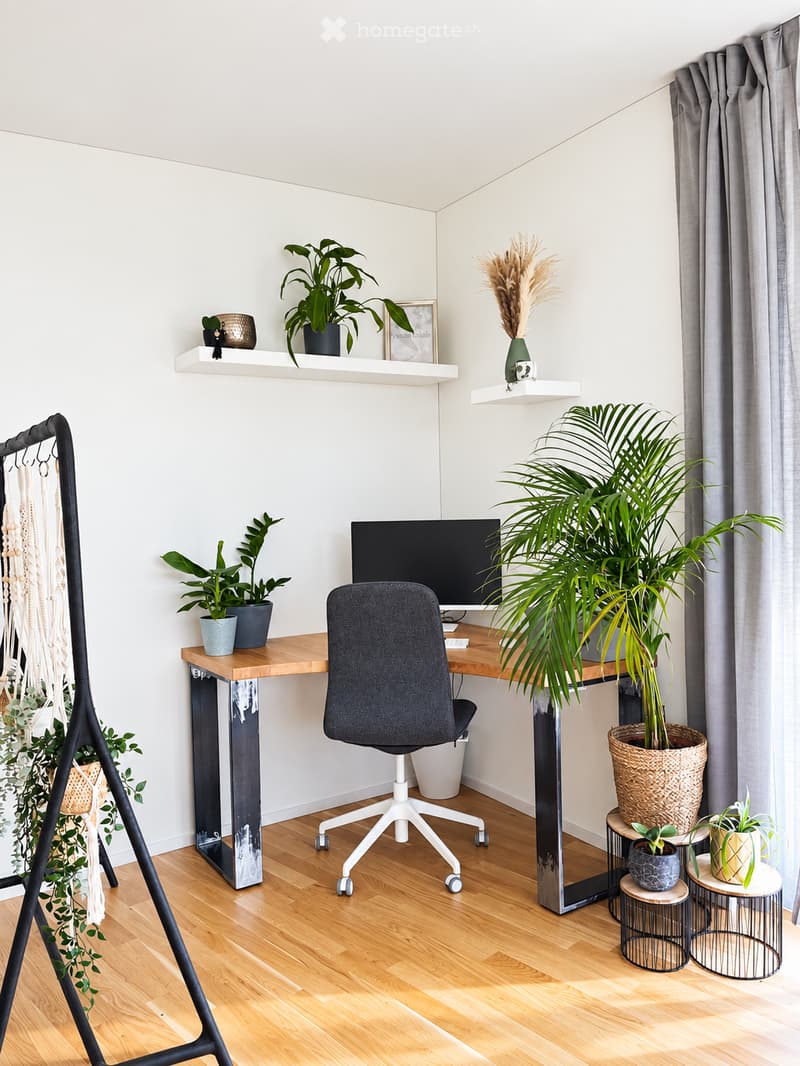 A modern, well-lit workspace with a wooden desk, ergonomic chair, large screen, and several potted plants. Shelves hold decorative items and additional plants.
