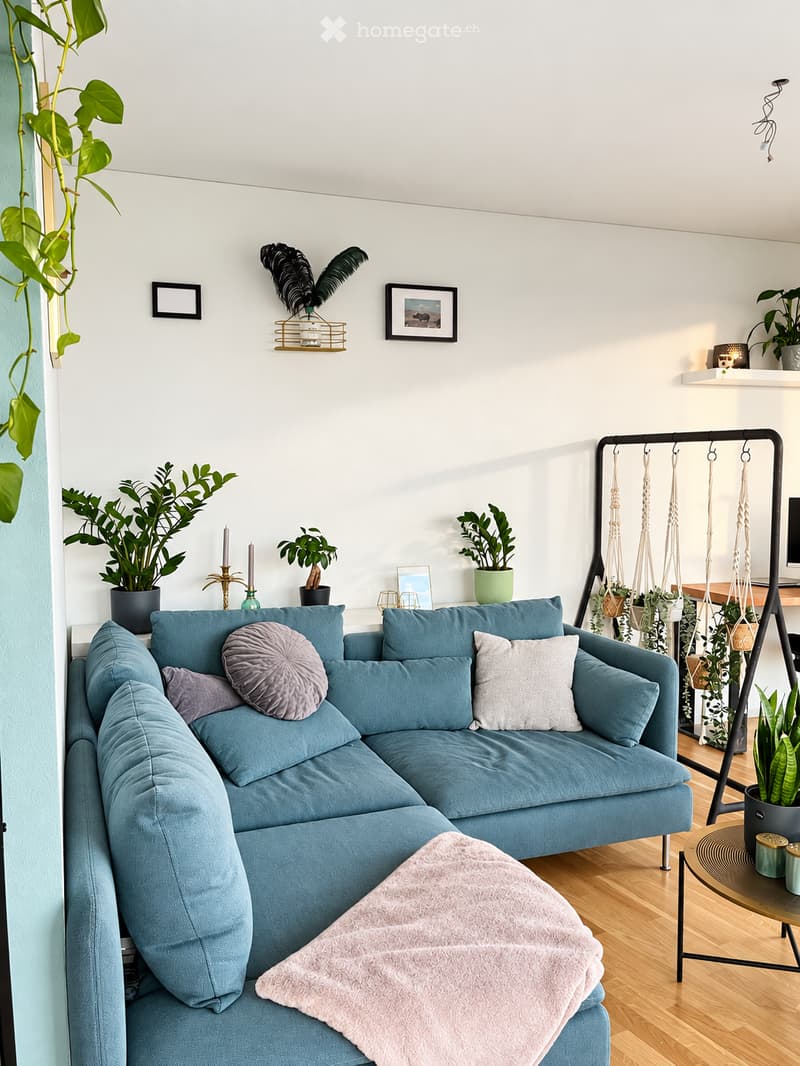 A modern living room with a blue sectional sofa, throw pillows, a pink blanket, a coffee table, and several potted plants. The room features light-colored walls, wooden flooring, and decorative shelves with artwork and plants.