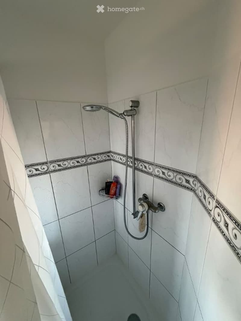 Shower area with white marble tiles, decorative border, and a handheld showerhead with a shelf holding toiletries.