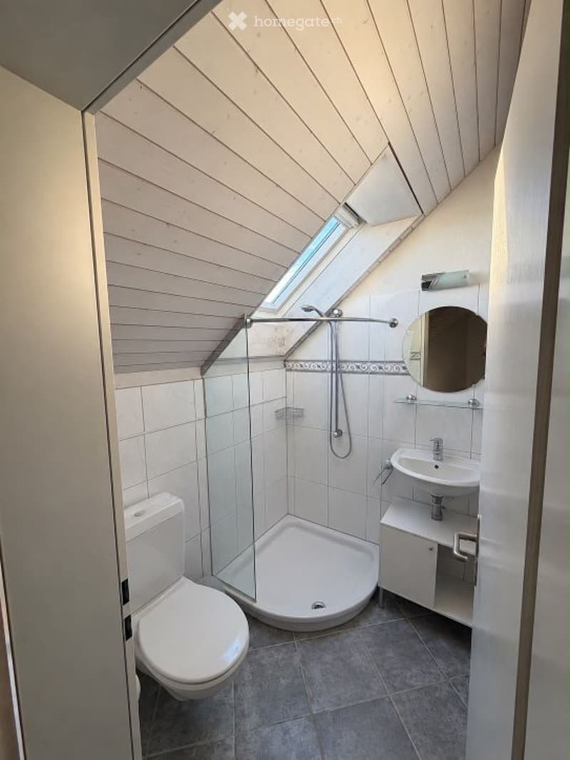 Modern bathroom with a skylight, white tiled walls, a corner shower stall, a toilet, and a sink with a mirror above it.