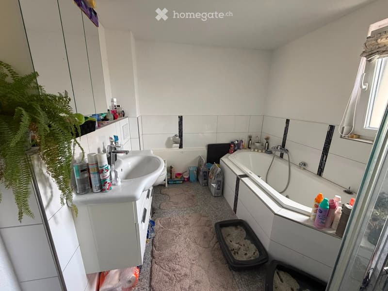 Bathroom with a white sink, bathtub, mirror, and cabinet. Includes a plant on the windowsill and a cat litter box on the floor.