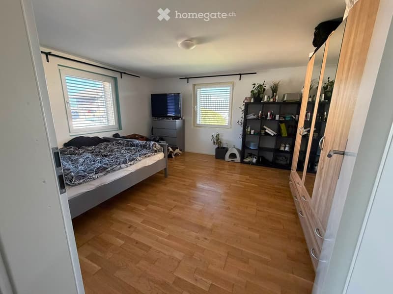 Spacious bedroom with wooden flooring, large windows, a bed with patterned bedding, a wardrobe, a shelf with various items, a television on a stand, and a small cat bed.
