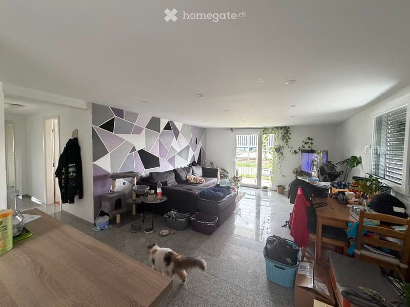A modern living room with a large sofa, cat tree, small table, and various cat supplies. The room features a geometric wall design, large windows with blinds, and a television on a stand. There are plants, a fan, and a small dining area with a table and c