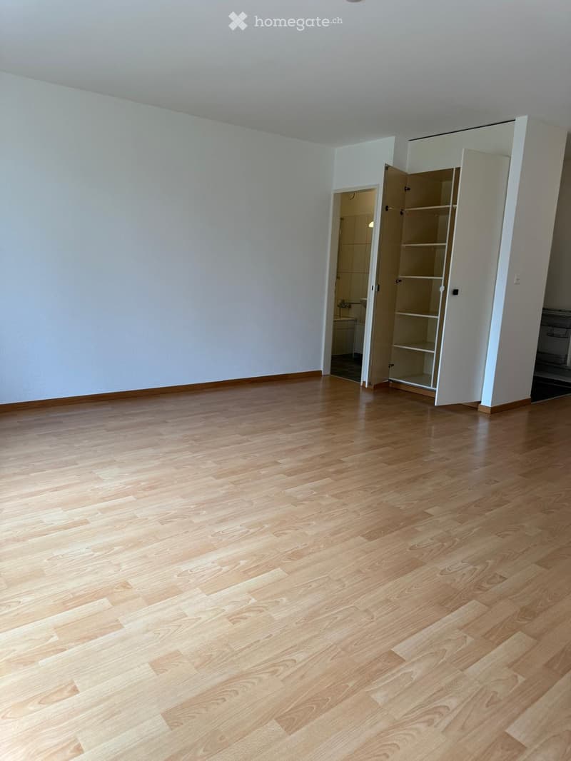 Empty room with light wooden flooring and white walls, featuring an open closet and a doorway leading to another room.