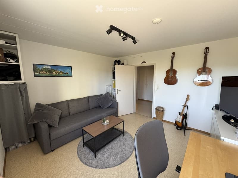 Modern living room with a grey sofa, wooden coffee table, chair, guitars on stands, a drum, and a TV screen on a wooden stand.