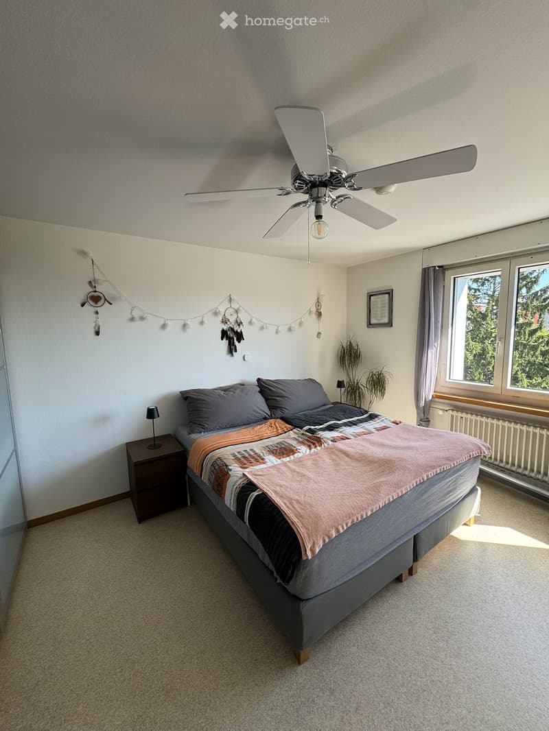 Cozy bedroom with a large bed, nightstand, lamp, and decorative items including dreamcatchers and a plant near the window.