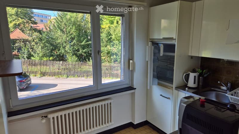 Modern kitchen with white cabinets, a refrigerator, a sink, and a microwave. The window offers a view of a green area with trees and a parked car.