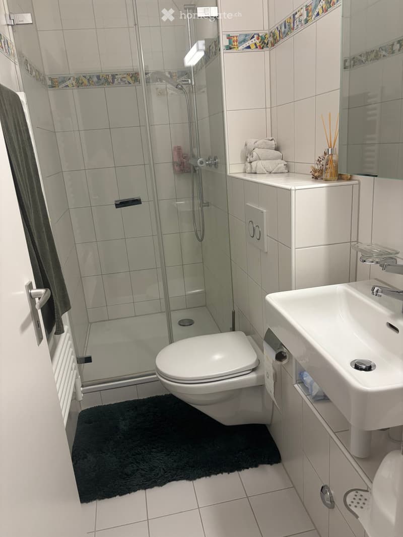 Modern bathroom with white tiles, a toilet, a sink, a shower, a mirror, and a towel on the floor.