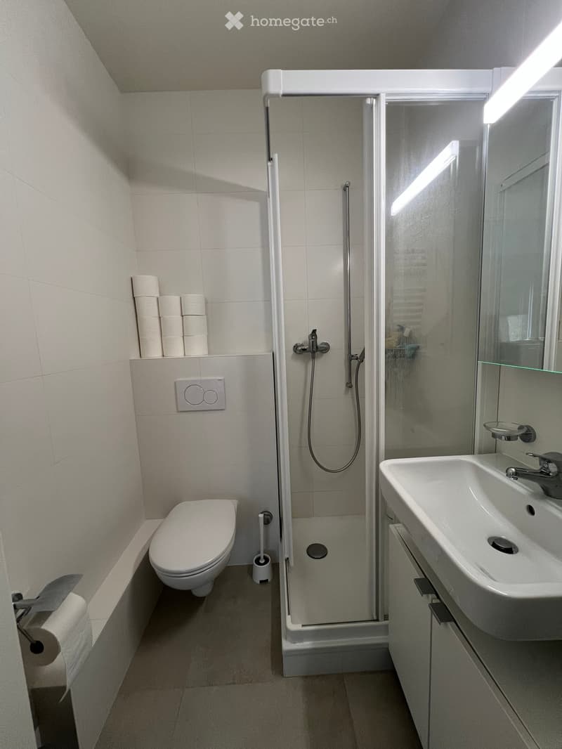 Modern, compact bathroom with white tiles, a toilet, a sink with a modern faucet, a glass-enclosed shower, and neatly stacked toilet paper rolls.