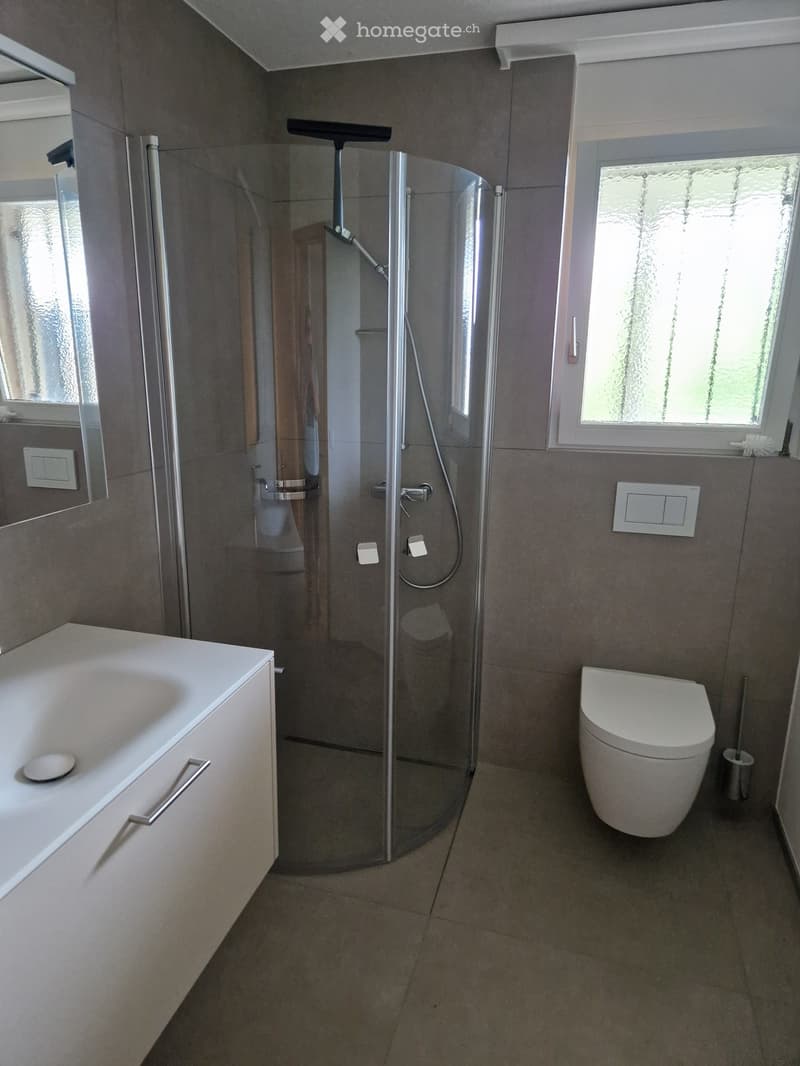 Modern bathroom with a white sink, toilet, glass-enclosed shower, and a large window providing natural light.