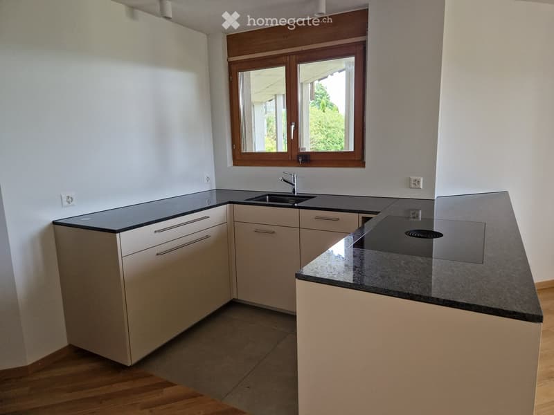 Modern kitchen with light-colored cabinets, dark granite countertops, and a stainless steel sink. The room features wooden flooring and large windows with wooden frames.