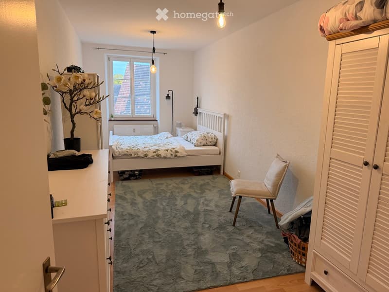 Cozy bedroom with a single bed, a small chair, a dresser, a fluffy rug, and a decorative plant near the window.