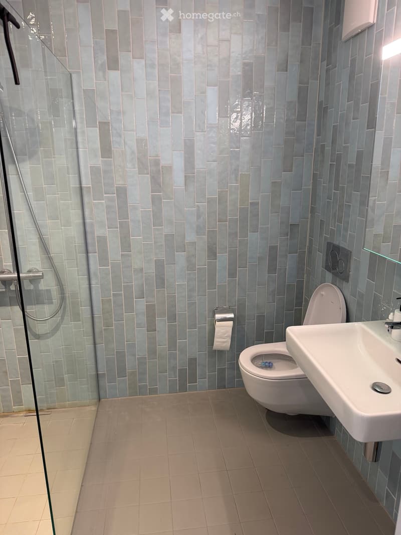 Modern bathroom with light blue tiled walls, a glass-enclosed shower, a toilet, a sink, and a toilet paper holder.