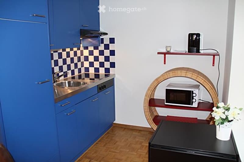 A compact kitchen area with blue cabinets, a stainless steel sink, a microwave on a curved shelf, and a small table with a flower pot.