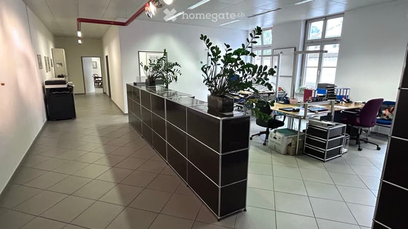 Office space with a reception desk, office chairs, desks, plants, and a printer. The area is well-lit with large windows and has a tiled floor.