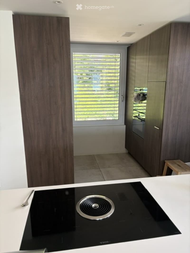 Modern kitchen with dark wooden cabinets, induction cooktop, and a window with blinds.